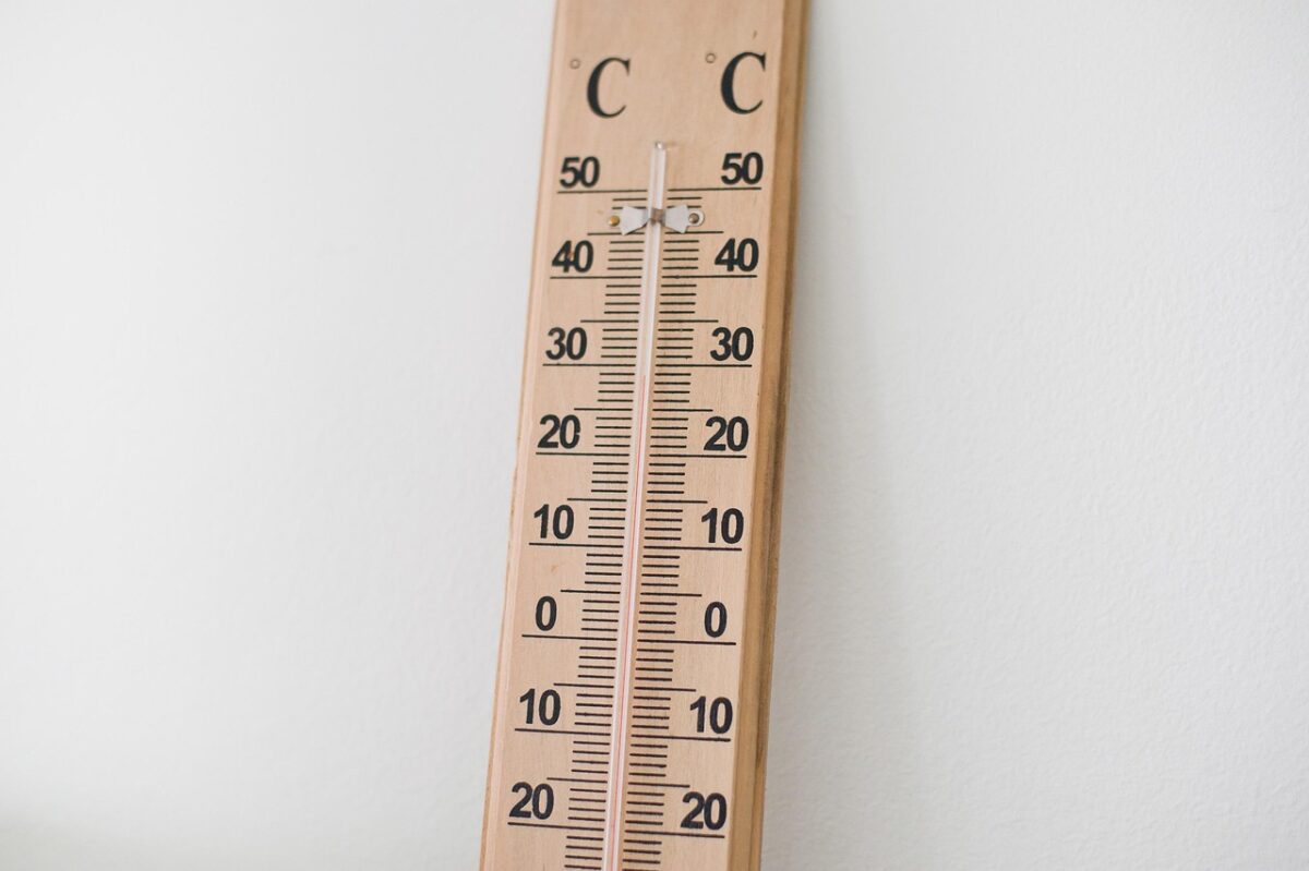 Soglia +2°C vicina: in pericolo Amazzonia e calotte polari