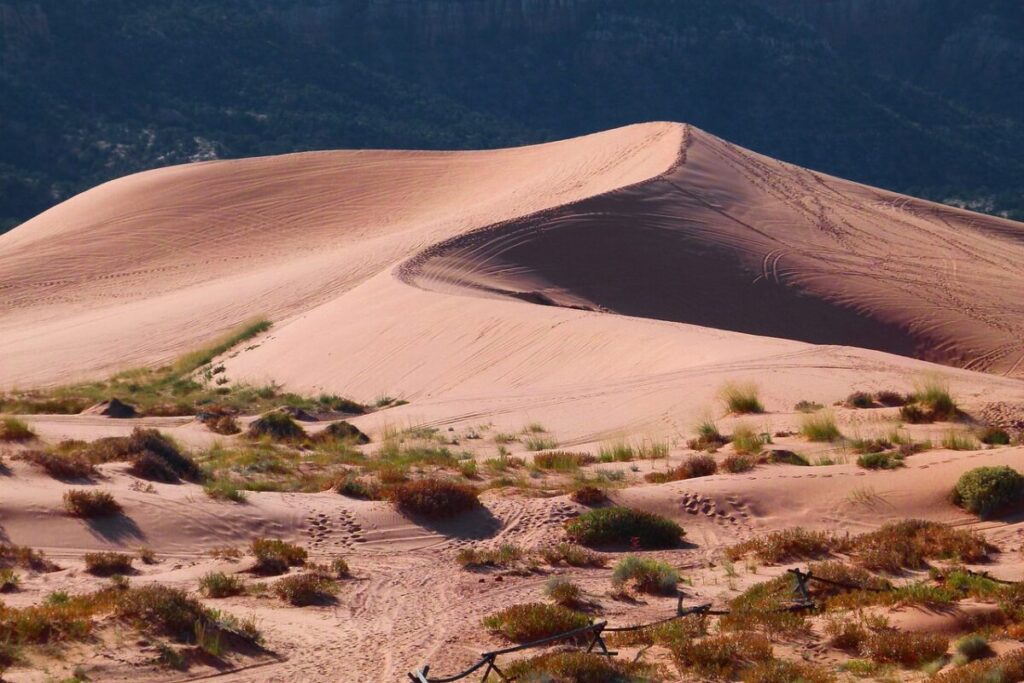 Dune che cantano: il raro fenomeno naturale dei deserti Dune che cantano: il raro fenomeno naturale dei deserti