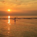 Metabolismo e sole: la luce blu riduce le cellule di grasso