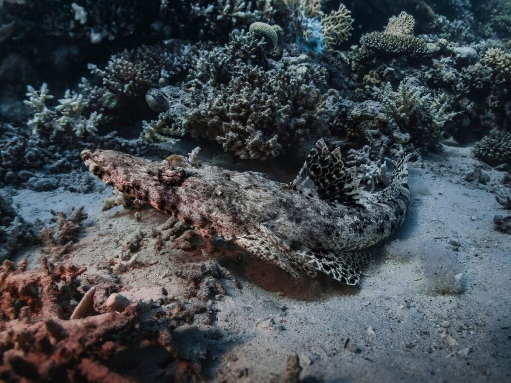 Scoperti vulcani sommersi vicino Lanzarote: Atlantide? Scoperti vulcani sommersi vicino Lanzarote: Atlantide?