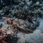 Scoperti vulcani sommersi vicino Lanzarote: Atlantide?
