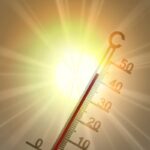 Il ghiaccio antartico svela incendi antichi e clima estremo
