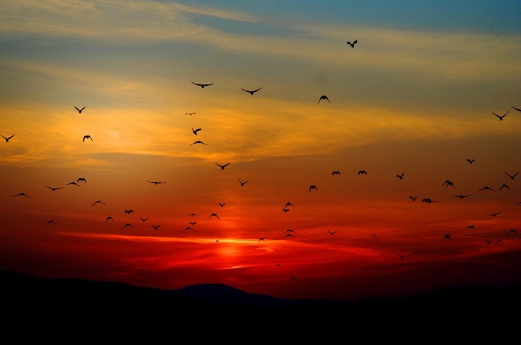 “Cielo rosso di sera, bel tempo si spera”: quanto è affidabile il proverbio? “Cielo rosso di sera, bel tempo si spera”: quanto è affidabile il proverbio?
