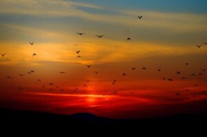 “Cielo rosso di sera, bel tempo si spera”: quanto è affidabile il proverbio?