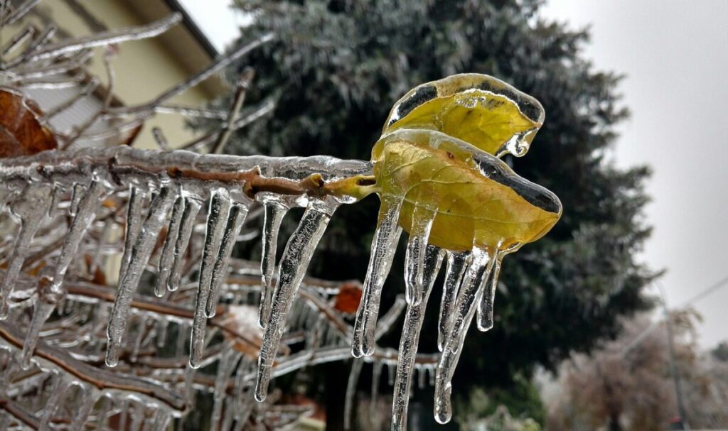 Il pericolo del gelicidio: quando la pioggia diventa ghiaccio Il pericolo del gelicidio: quando la pioggia diventa ghiaccio
