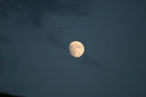 Super Luna e Perseidi: lo spettacolo celeste della notte di San Lorenzo