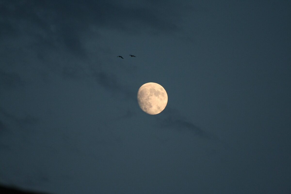 Super Luna e Perseidi: lo spettacolo celeste della notte di San Lorenzo