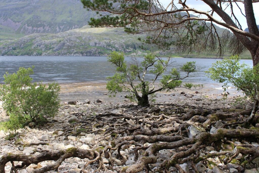 Il mistero di Loch Ness: la leggenda di Nessie resiste al tempo Il mistero di Loch Ness: la leggenda di Nessie resiste al tempo