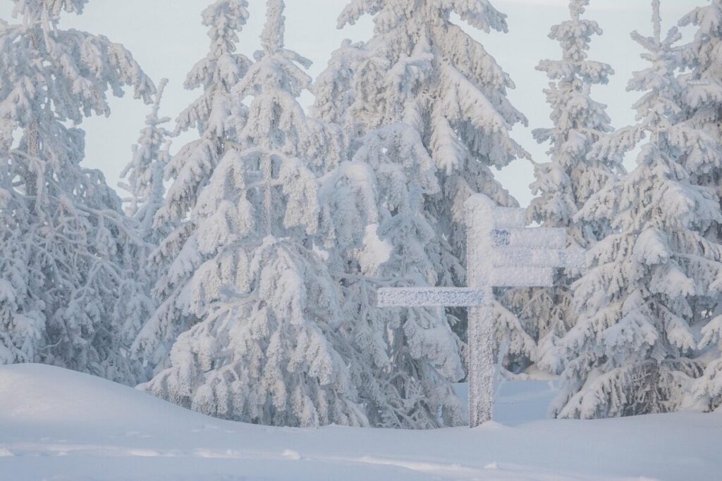 Neve e grandine: come si formano, perché sono diverse e quando le vediamo cadere Neve e grandine: come si formano, perché sono diverse e quando le vediamo cadere