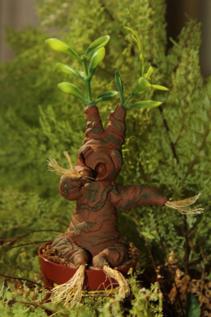 Mandragora, tra mito e veleno: la pianta che inganna ancora oggi Mandragora, tra mito e veleno: la pianta che inganna ancora oggi