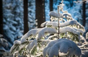 Neve e grandine: come si formano, perché sono diverse e quando le vediamo cadere