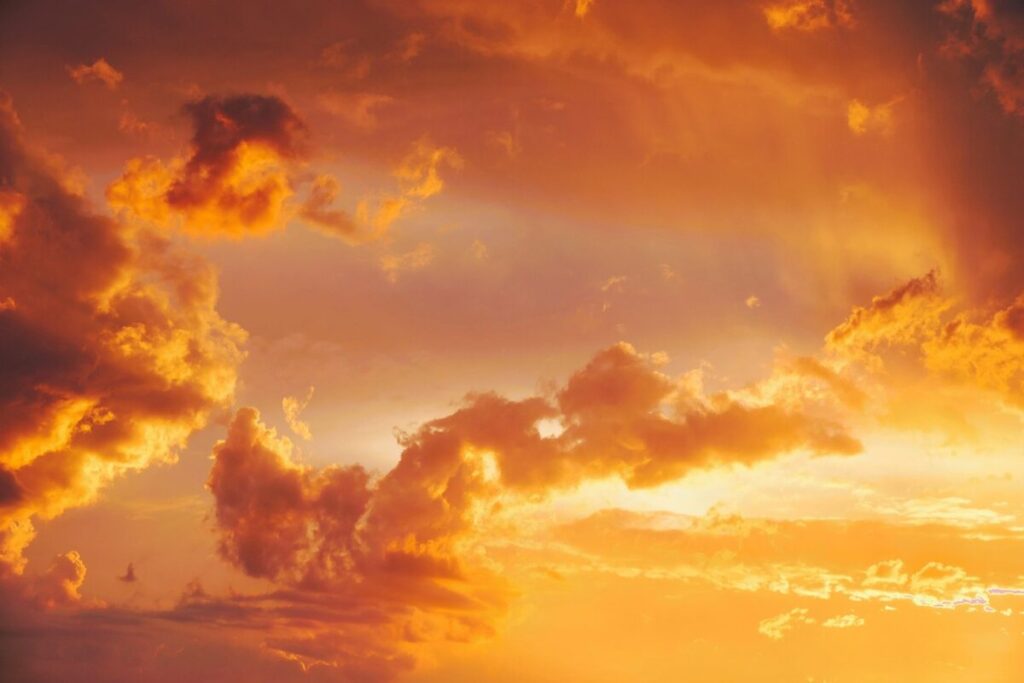 Ondate di calore e parassiti: come il caldo estremo favorisce la diffusione delle infezioni Ondate di calore e parassiti: come il caldo estremo favorisce la diffusione delle infezioni