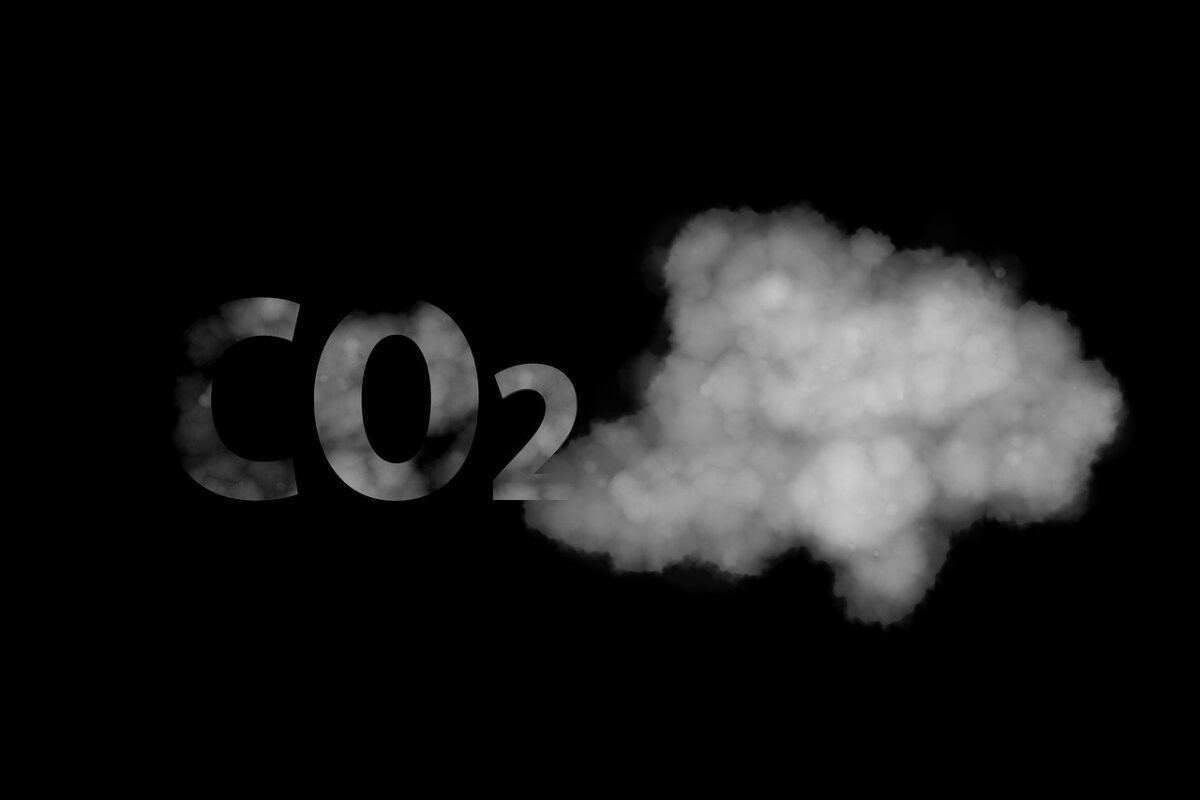 Allergie in aumento: con il riscaldamento globale i pollini saranno il triplo
