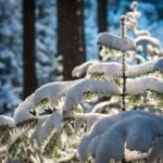 Un mondo senza neve? È già in parte realtà: ecco cosa sta cambiando davvero