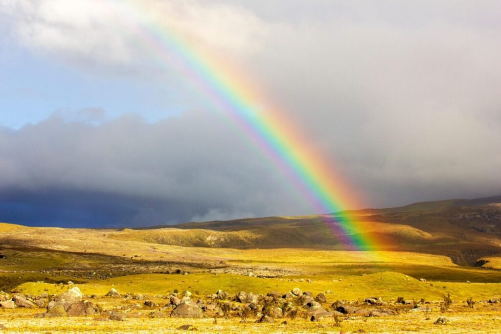 Arcobaleno, il fenomeno che incanta il cielo: ecco come si forma davvero