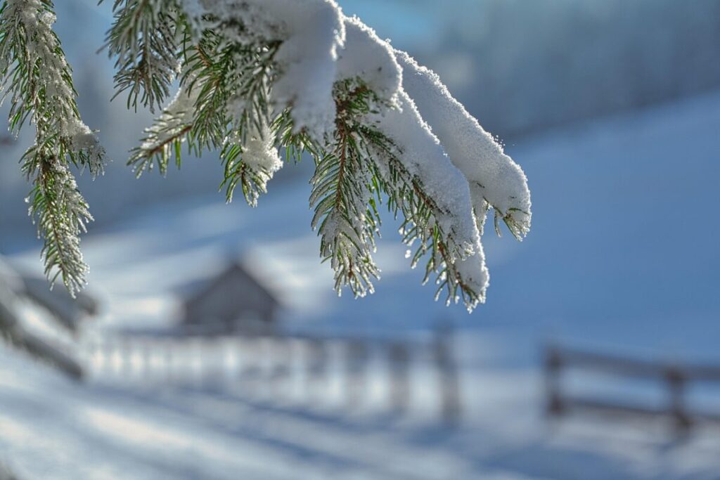 Neve, vapore e ghiaccio: il ciclo della trasformazione Neve, vapore e ghiaccio: il ciclo della trasformazione