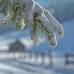 Neve, vapore e ghiaccio: il ciclo della trasformazione
