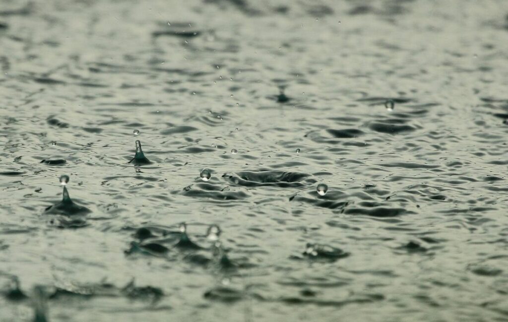Quando Piove, i Batteri Volano: Svelato il Ruolo della Pioggia nella Dispersione dei Microbi Quando Piove, i Batteri Volano: Svelato il Ruolo della Pioggia nella Dispersione dei Microbi