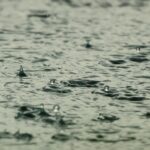 Quando Piove, i Batteri Volano: Svelato il Ruolo della Pioggia nella Dispersione dei Microbi