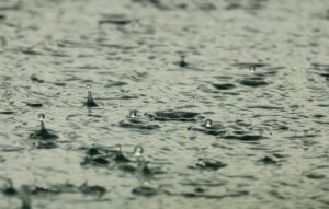 Quando Piove, i Batteri Volano: Svelato il Ruolo della Pioggia nella Dispersione dei Microbi