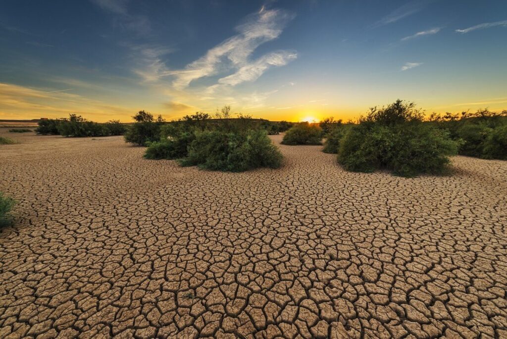 Siccità e ondate di calore: quando il clima entra in modalità amplificata