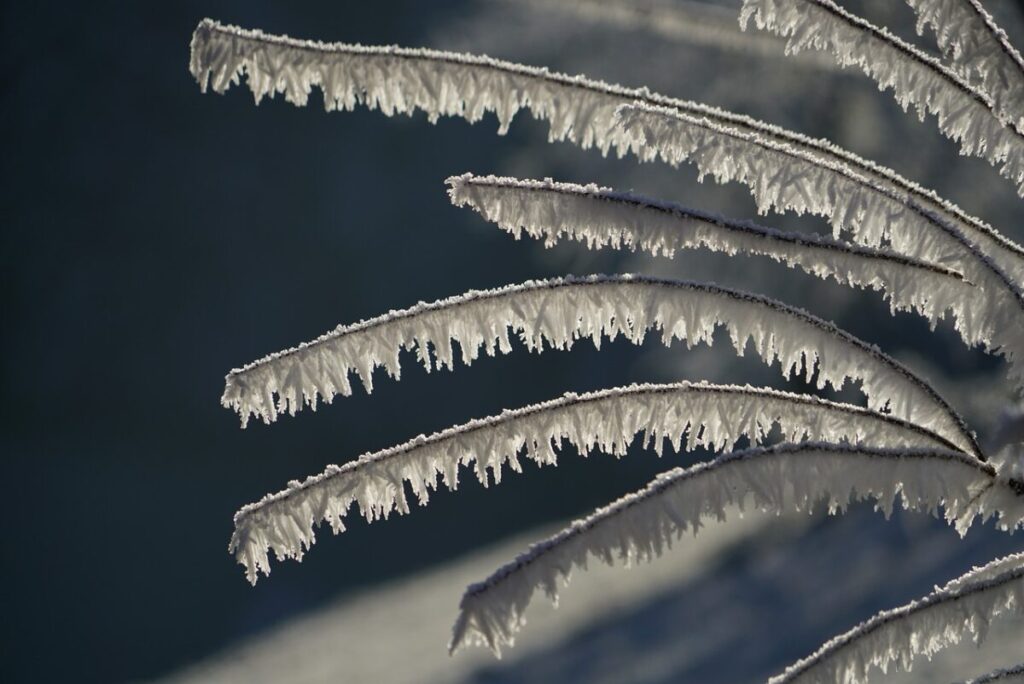 Fiocchi di neve: perché ogni cristallo è unico e perfetto