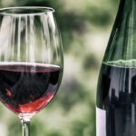 Clima e vino: la rivoluzione inaspettata arriva dall’Amazzonia