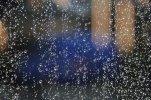 Piogge acide: cosa sono, come si formano e quali danni provocano