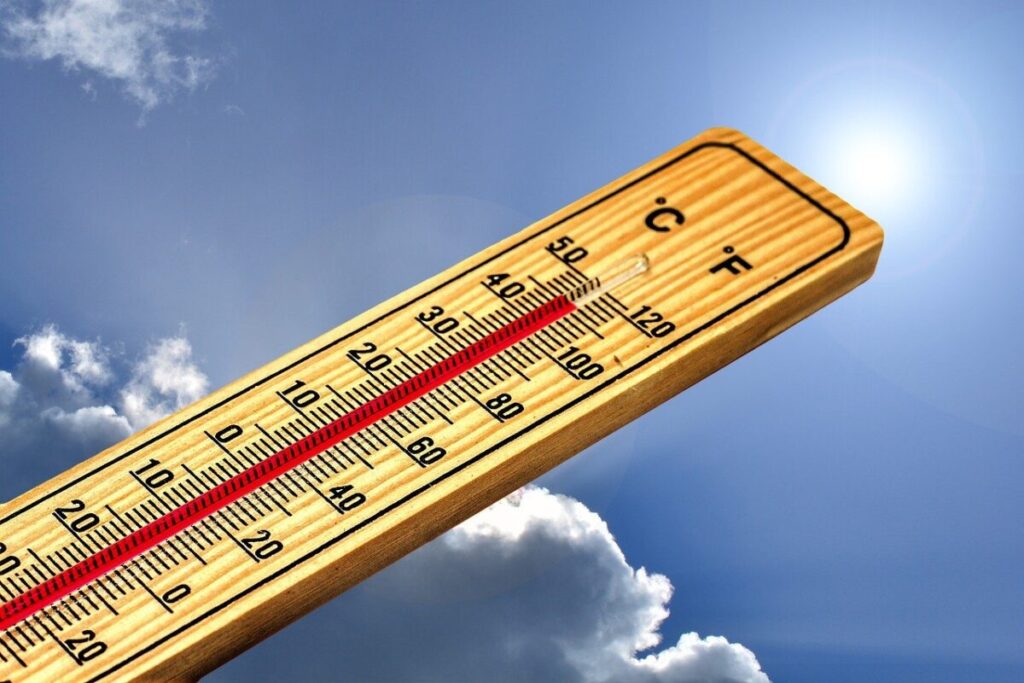 Ondate di calore sempre più estreme: cosa ci dice la scienza sul cambiamento climatico Ondate di calore sempre più estreme: cosa ci dice la scienza sul cambiamento climatico