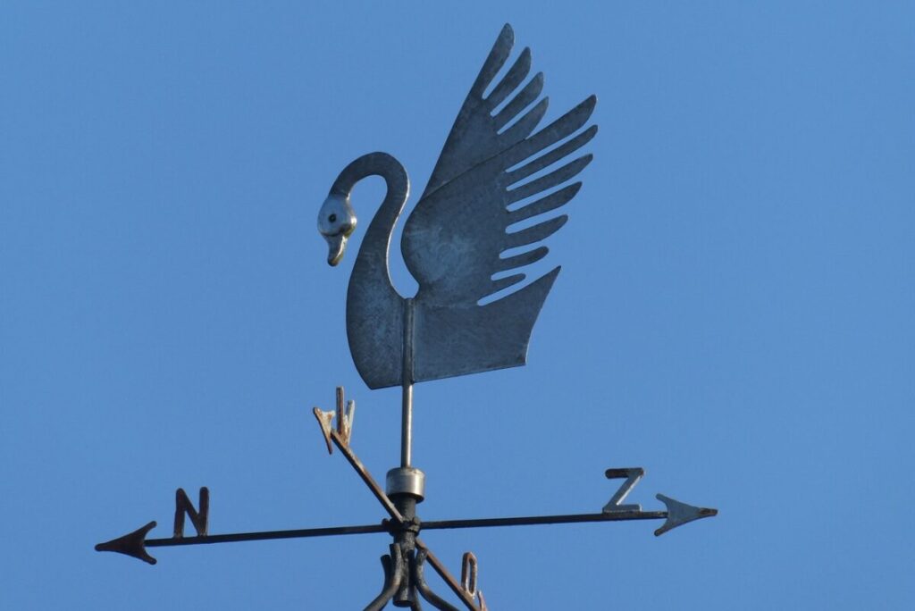 Perché sulle banderuole c’è un gallo? L’antica storia dietro un simbolo (quasi) dimenticato