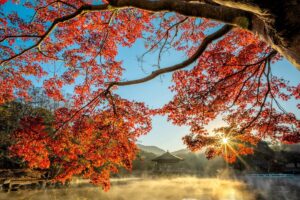 Equinozio d’autunno: il giorno in cui la Terra si bilancia
