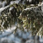 Le 10 città europee dove nevica più spesso: in testa c’è una sorpresa baltica