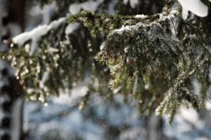 Le 10 città europee dove nevica più spesso: in testa c’è una sorpresa baltica