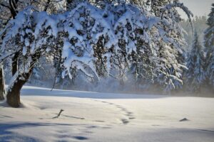Neve a latitudini inaspettate: i casi più sorprendenti nella storia del clima