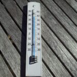 Ondate di calore e crisi dei raccolti: quanto rischiano davvero le coltivazioni?