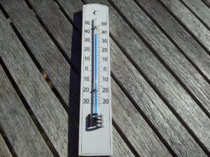 Ondate di calore e crisi dei raccolti: quanto rischiano davvero le coltivazioni?
