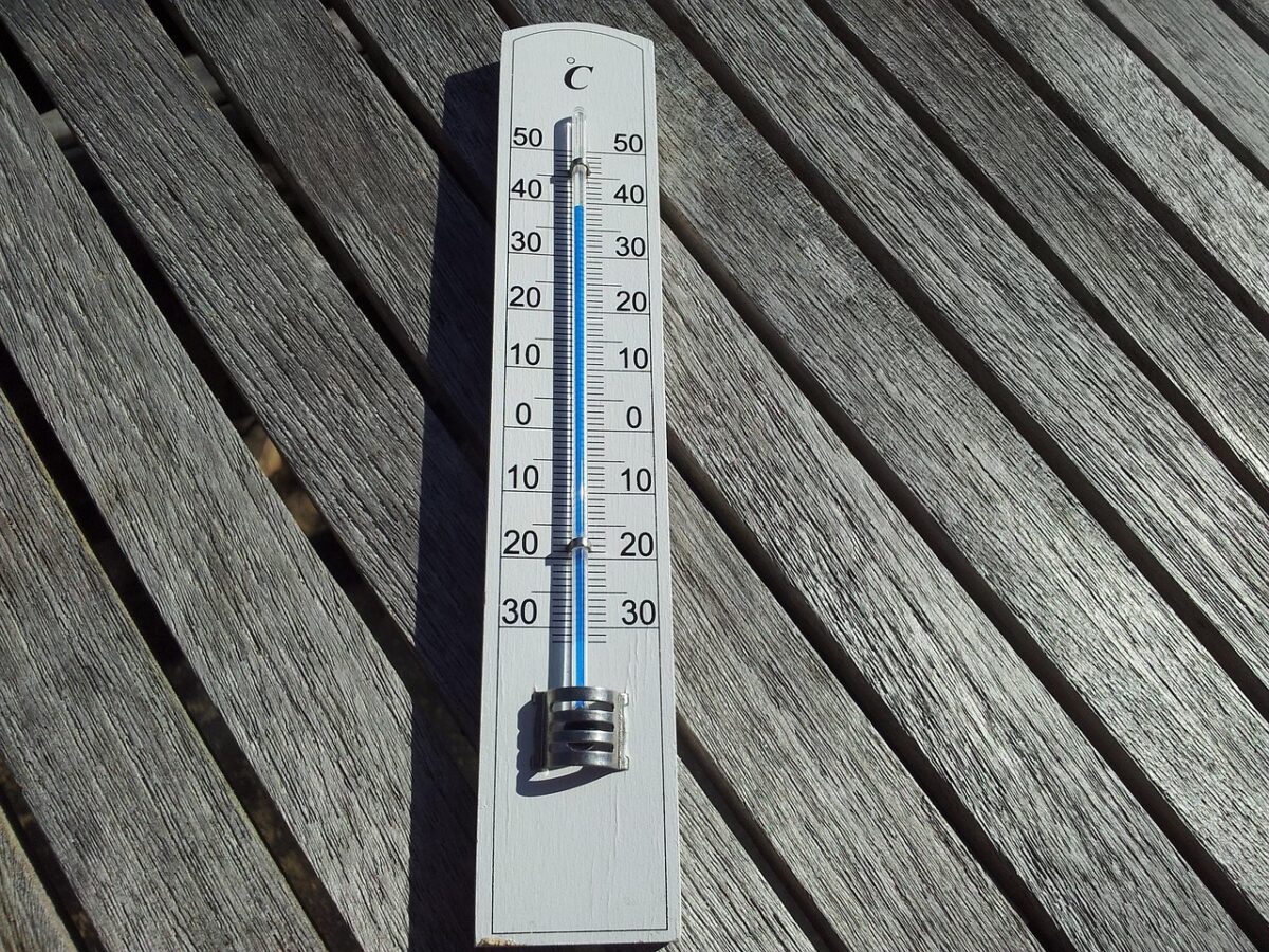Ondate di calore e crisi dei raccolti: quanto rischiano davvero le coltivazioni?