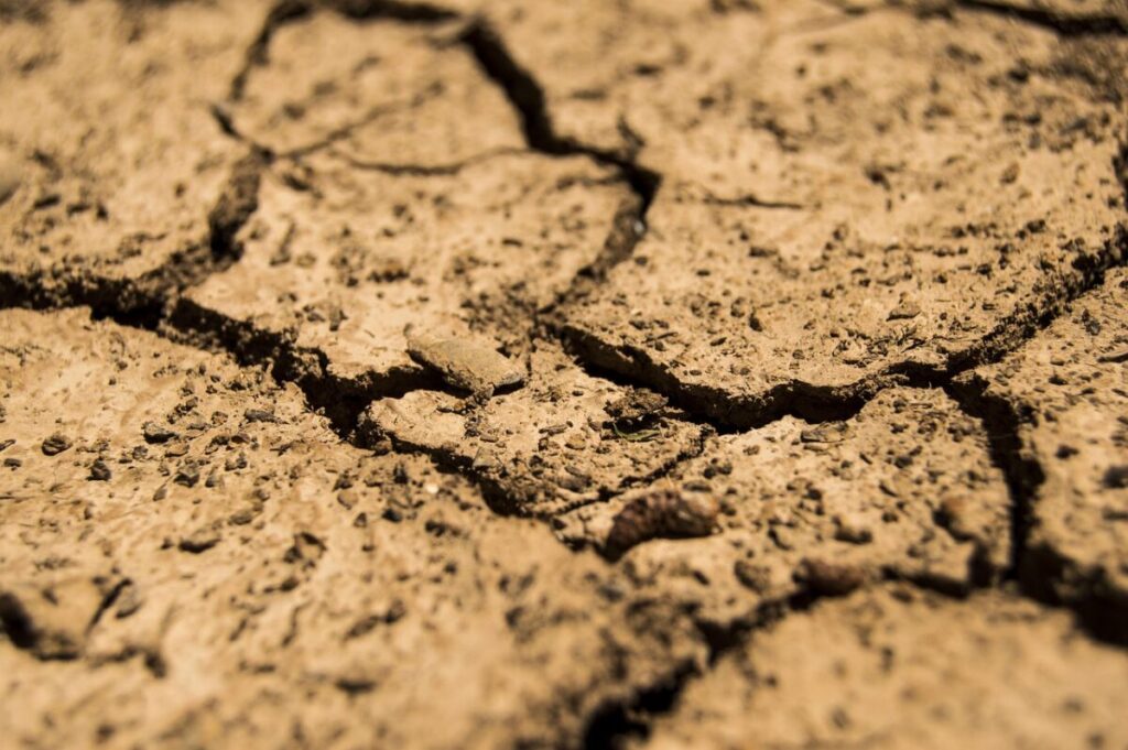 Siccità e ondate di calore: quando il clima entra in modalità amplificata