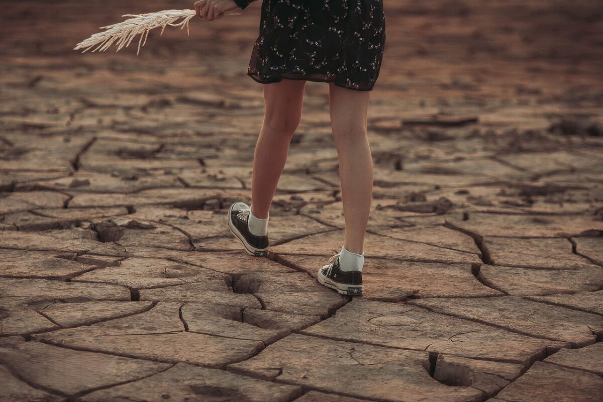 Siccità e ondate di calore: quando il clima entra in modalità amplificata